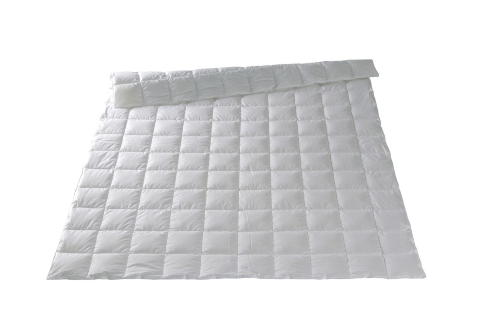 Fischbacher Kassettendecke Locarno