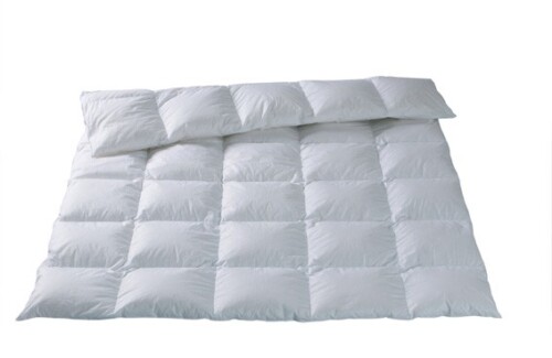 Fischbacher Kassettendecke Luzern