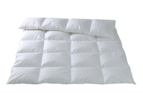 Fischbacher Winter Kassettendecke Zermat