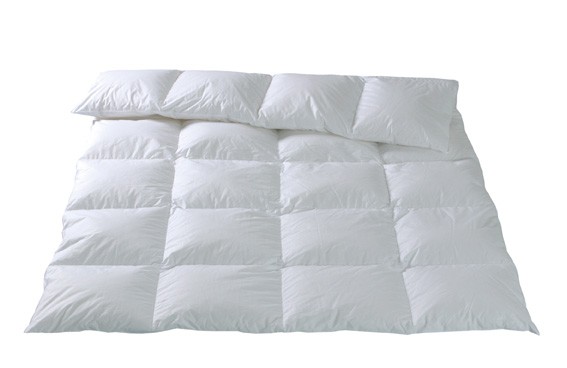 Fischbacher Winter Kassettendecke Zermat