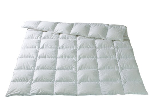 Fischbacher Ganzjahresdecke Kassettendecke Basel