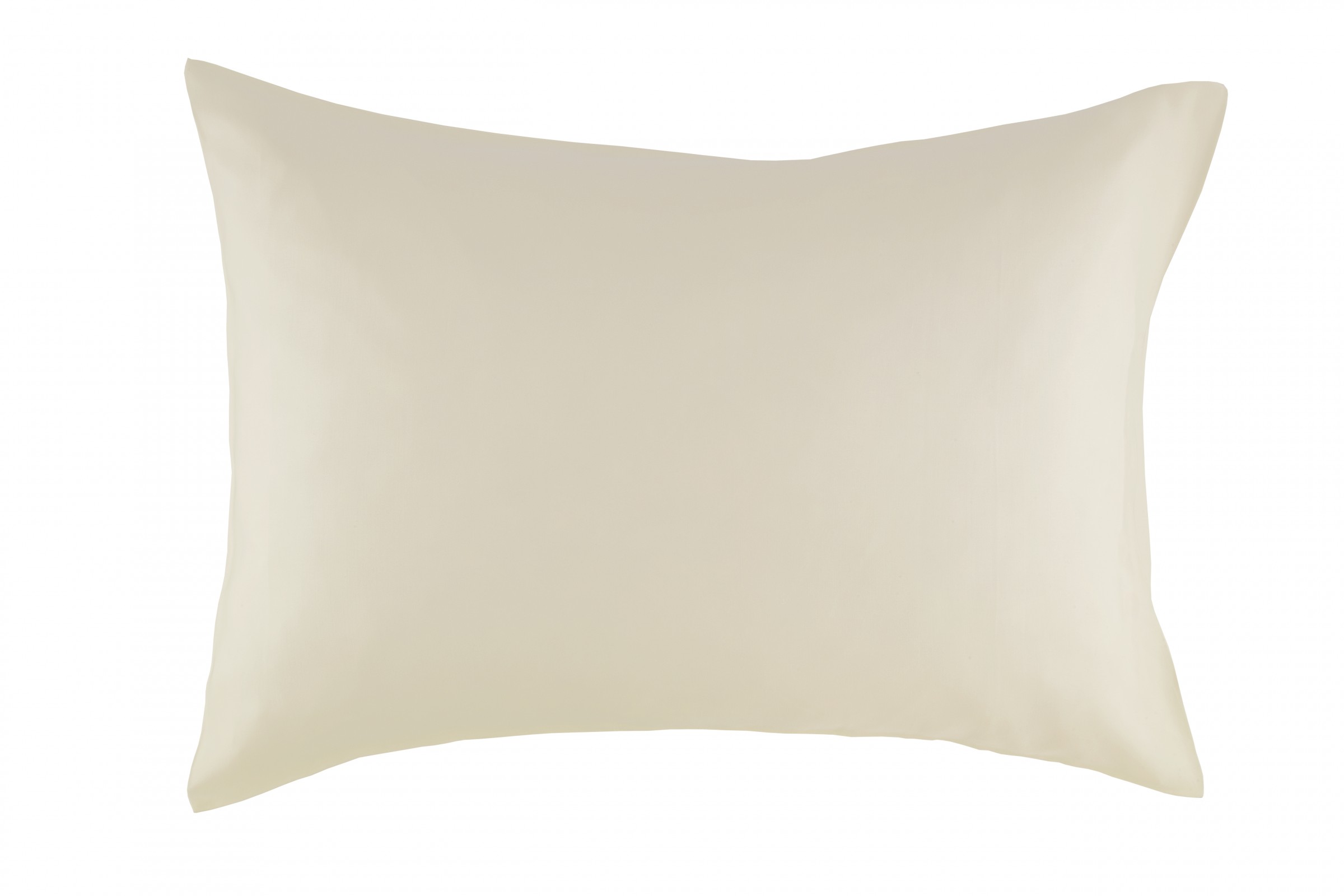 Fischbacher Soie Seide Paisley und uni Seide silber und champagne 860